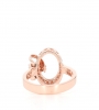 The Attractive Ring